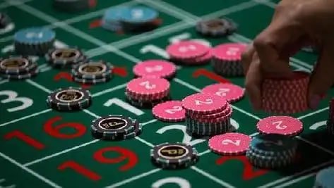 6655bet6 login