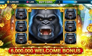 6655bet6 login